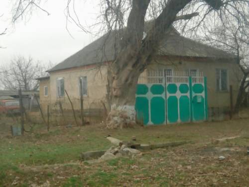 Дом для жизни