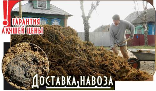 Продам навоз. Доставка