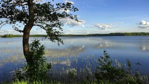 Шикарный участок 70 соток на берегу красивого озера