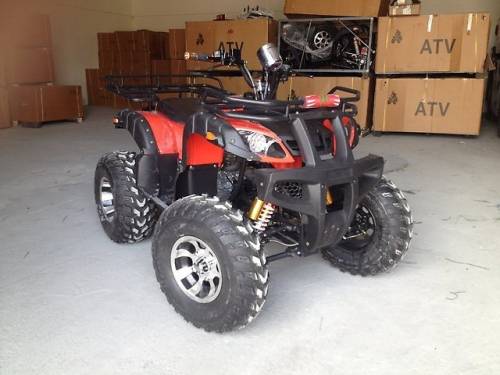 Квадроцикл Grizzly 250cc, 2016 г.в. на Цепи