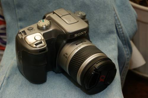 Sony A 100
