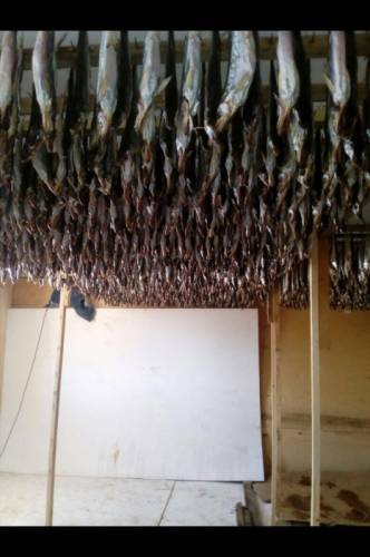 Продаю Корюшку Сахалинскую