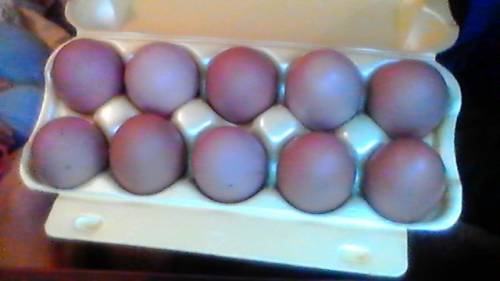 Продам домашние куриные яйца