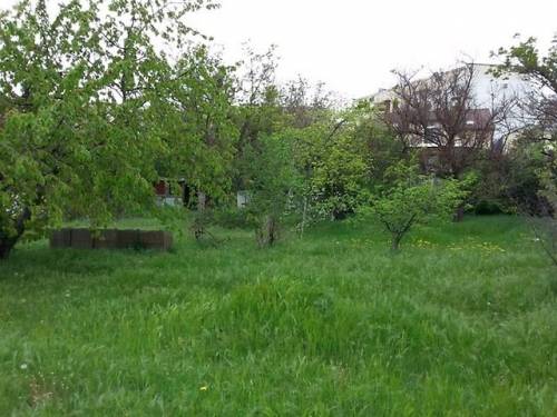 Продам земельный участок в Екимцево 5 соток.