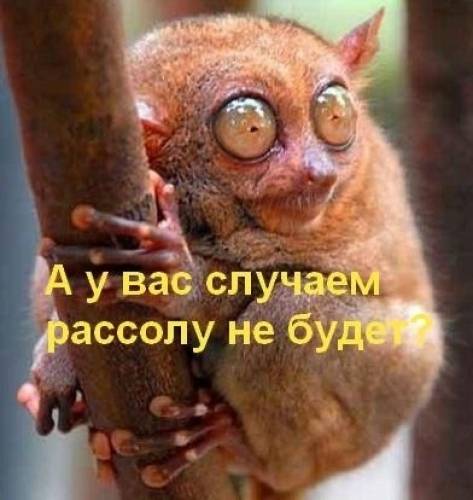 все услуги работ