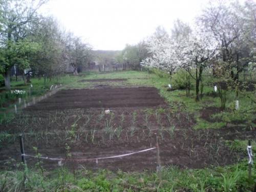 продам земельный участок