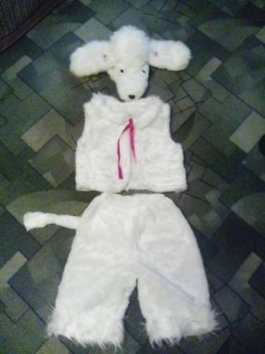 Костюмчик карновальный
