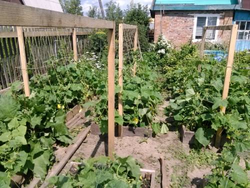Продам дачу по Пушкинскому тракту