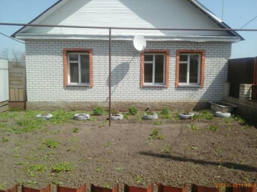 дом и магазин на одном участке