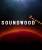 Открытое прослушивание девушек и актрис для Soundwood Records