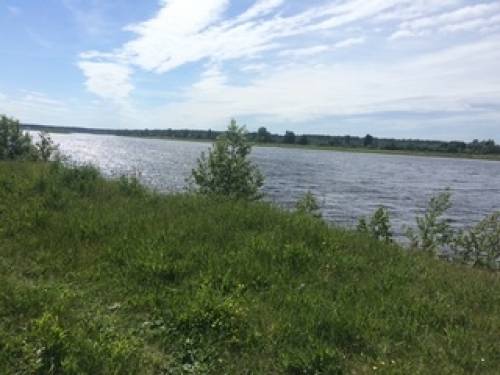 Ленинградская область Волховский район Пашское с/пос д. Томилино