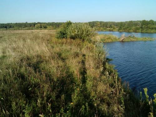 земельный участок у воды реки Преголь