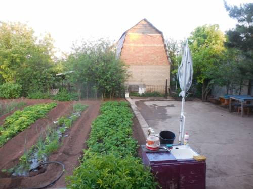 Продам дачу 10 соток