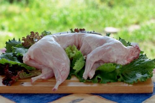Продам мясо кролика