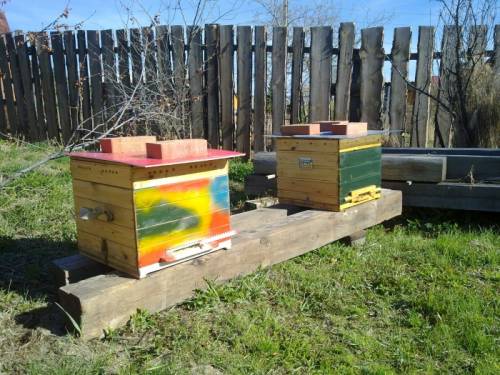 Продам ульи с пчелами