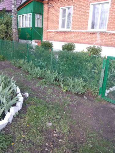 продам дом от собственника