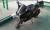 KTM RC 200