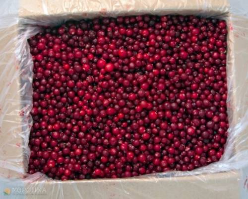 Продам мороженные ягоды,свежие сушёные грибы