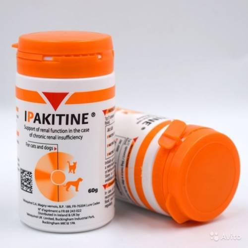 Ипакитине (Ipakitine) лекарство для кошек и собак при почечной недостаточности