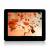 Планшетный ПК 9,7“ HD Android 4,1 “Angel“- dual core 1,5 ггц, 16 гб   (32 гб)