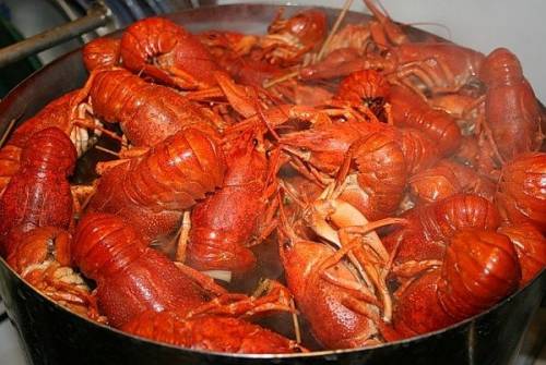 Продаю живые раки(местные).