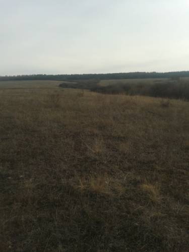 Земельный учасок 10,05 соток