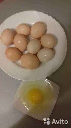 яйцо домашнее куриное