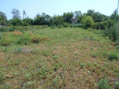 Продам участок 15 соток в с.Сухая-Вязовка.