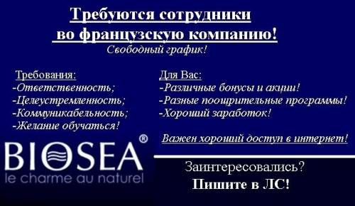 Бизнес в молодой перспективной французской компании