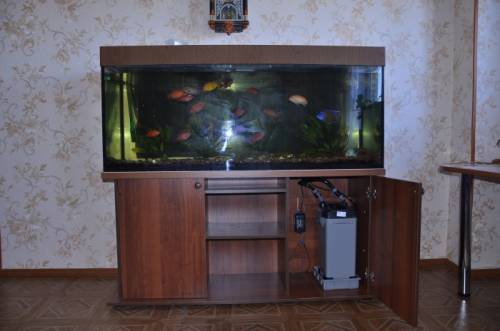 Аквариум и рыбки