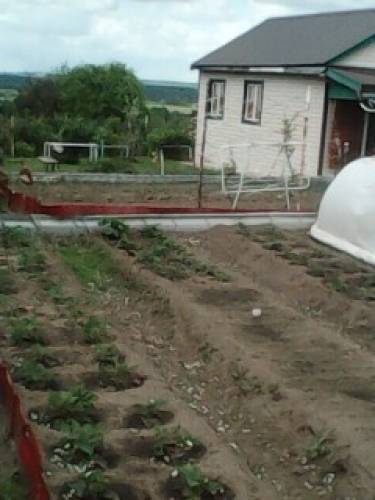 продам участок(лпх) 8,5 сот.