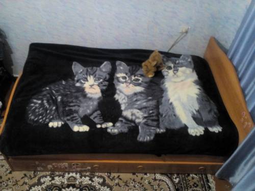 кровать