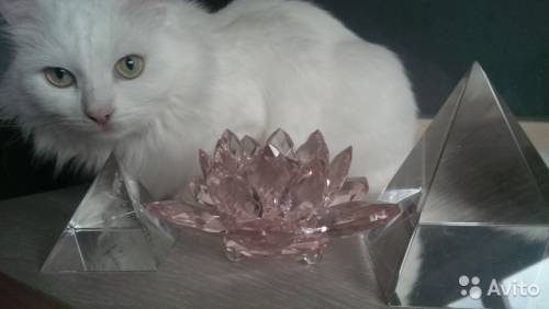 Нежная кувшинка из розового стекла, пирамиды