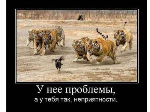 Досудебное разбирательство - решение Ваших проблем.