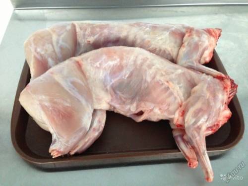 продаю мясо кроликов