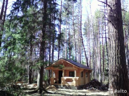 участок в сосновом бору 