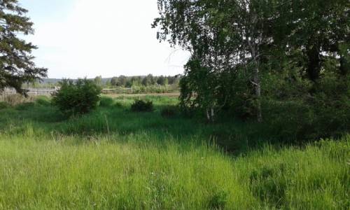 Земельный участок продаю. Иркутск с.максимовщина.12 соток