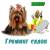 Сеть ветеринарных клиник ZooHelp 