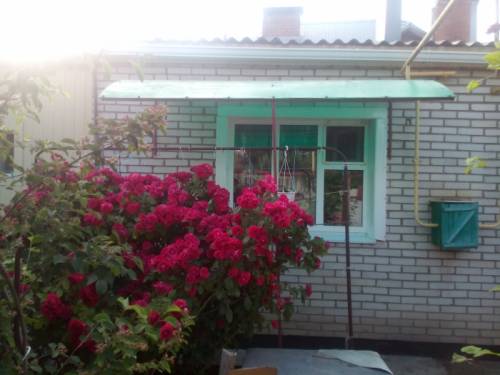 продается дом в старом городе