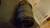 Canon EF 70-300mm