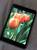 Планшет Apple iPad mini 2 16Gb 