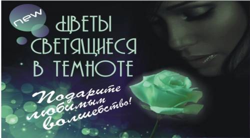  Цветы светящиеся в темноте! Подарите любимой волшебство!