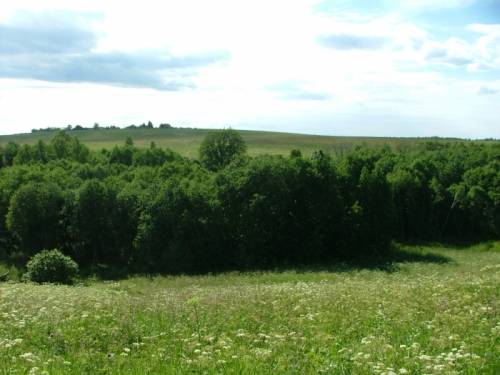 Готов к продаже отличный участок земли большого размера. Здесь площадь 100 соток