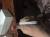 iPhone 5S  16g