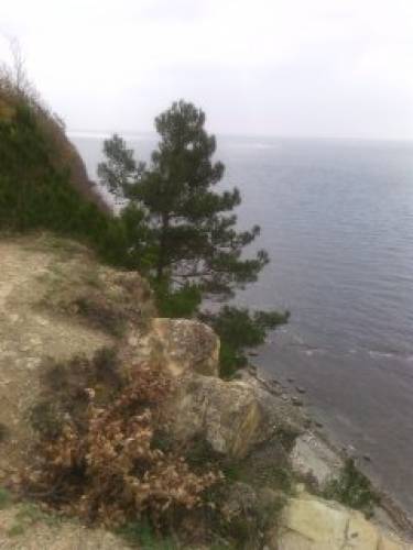 Продаются участки на берегу моря