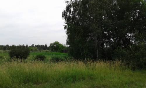 Продам участок в с.максимовщина на берегу