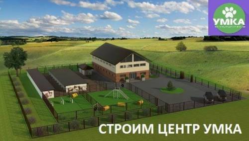Строим Центр Умка для бездомных кошек и собак! Нужна ваша помощь