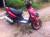 Stels tactic 100