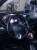  › Модель ­ Renault Fluence