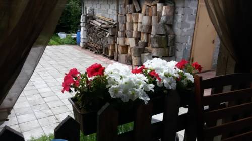Дом на Северной Горе